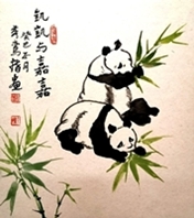 Pandas